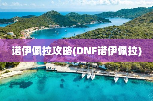 诺伊佩拉攻略(DNF诺伊佩拉)