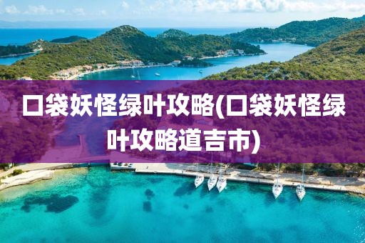 口袋妖怪绿叶攻略(口袋妖怪绿叶攻略道吉市)