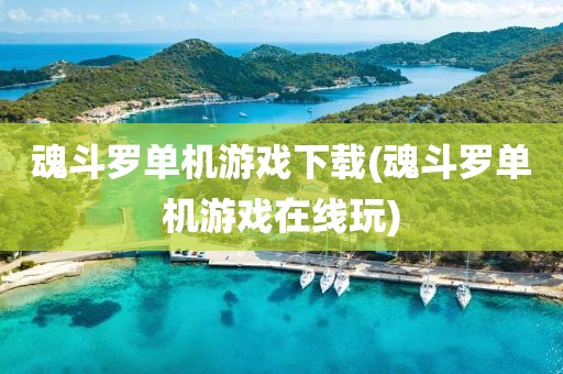 魂斗罗单机游戏下载(魂斗罗单机游戏在线玩)