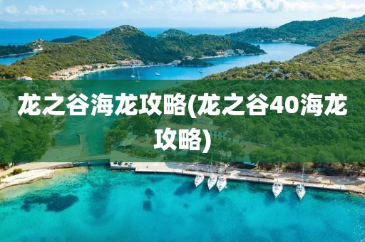 龙之谷海龙攻略(龙之谷40海龙攻略)