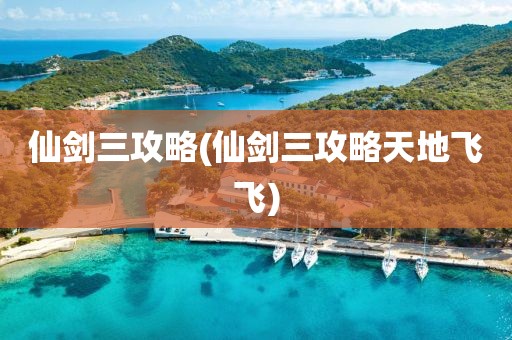 仙剑三攻略(仙剑三攻略天地飞飞)