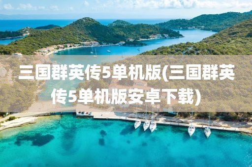 三国群英传5单机版(三国群英传5单机版安卓下载)