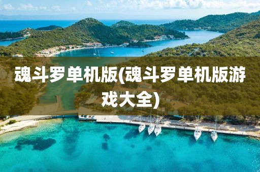 魂斗罗单机版(魂斗罗单机版游戏大全)