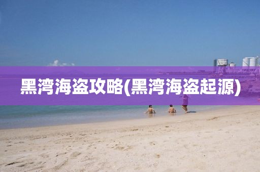 黑湾海盗攻略(黑湾海盗起源)