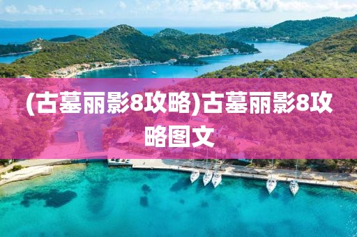 (古墓丽影8攻略)古墓丽影8攻略图文