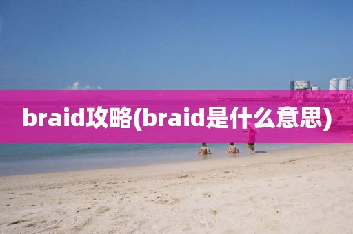 braid攻略(braid是什么意思)