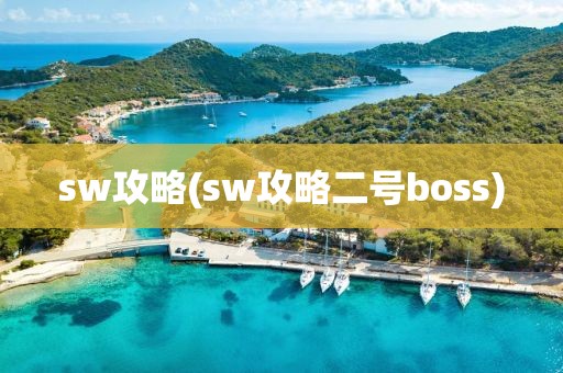 sw攻略(sw攻略二号boss)