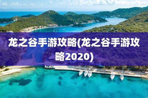 龙之谷手游攻略(龙之谷手游攻略2020)