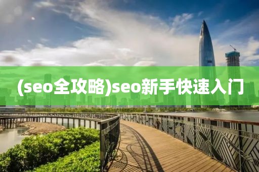 (seo全攻略)seo新手快速入门