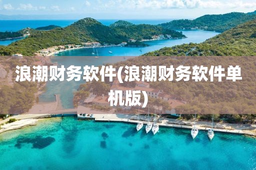 浪潮财务软件(浪潮财务软件单机版)