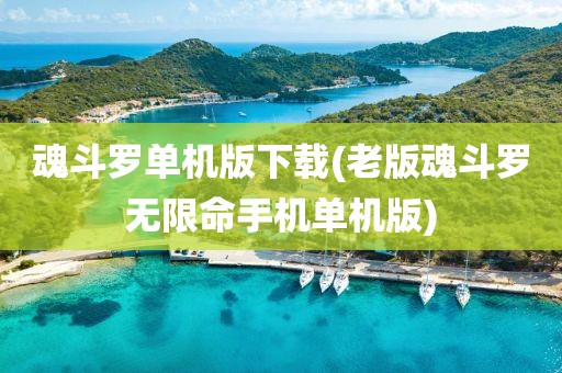 魂斗罗单机版下载(老版魂斗罗无限命手机单机版)