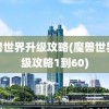 魔兽世界升级攻略(魔兽世界升级攻略1到60)