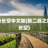 鹰击长空中文版(新二战之鹰击长空)