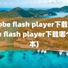 adobe flash player下载(adobe flash player下载哪个版本)