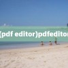 (pdf editor)pdfeditor