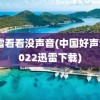 迅雷看看没声音(中国好声音2022迅雷下载)