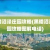 黑暗沼泽庄园攻略(黑暗沼泽庄园攻略图解电话)