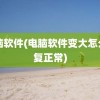 电脑软件(电脑软件变大怎么恢复正常)