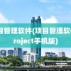 项目管理软件(项目管理软件project手机版)