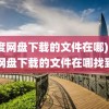 (百度网盘下载的文件在哪)百度网盘下载的文件在哪找到