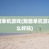 跑酷单机游戏(跑酷单机游戏什么好玩)