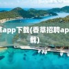 香草app下载(香草招聘app下载)